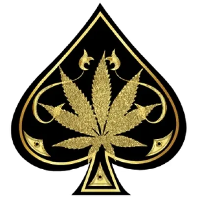 Official Ace Vape